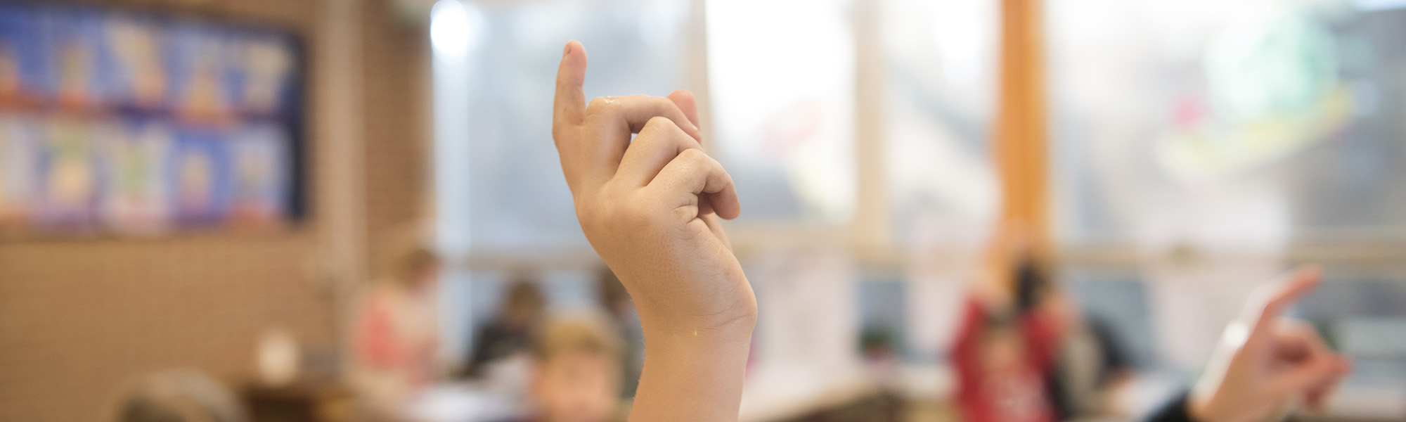TICKEN typecursus veelgestelde vragen